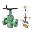 Cameron Style F & FC Manual Gate Valve and Replacement Parts